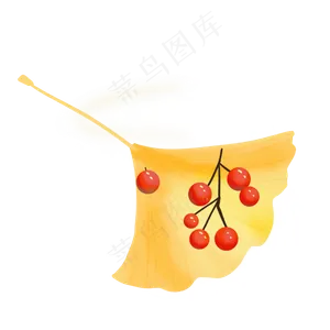 秋季树叶花果