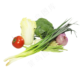 绿色有机蔬菜组合