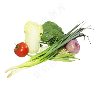 绿色有机蔬菜组合