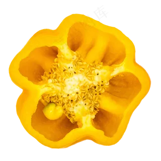 黄色甜椒横切面