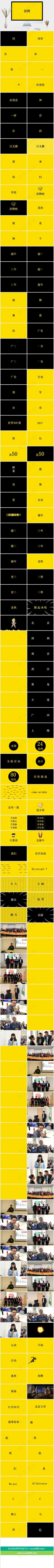 招聘
简洁营销PPT模板预览图