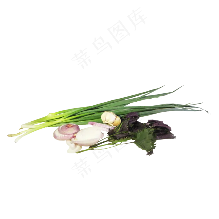 调味料农产品蔬菜组合(2000X2000(DPI:300))