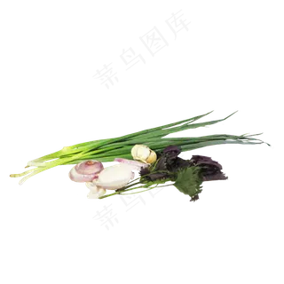 调味料农产品蔬菜组合