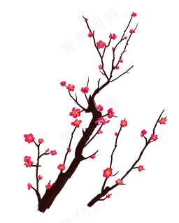 树枝上绽放的梅花