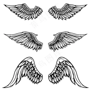 白色背景上的复古翅膀。