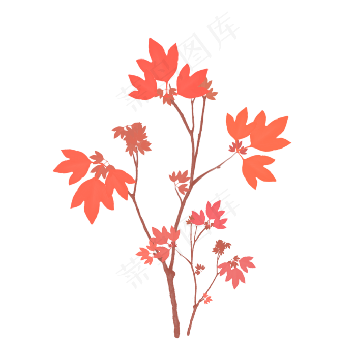 手绘秋天枫叶树木