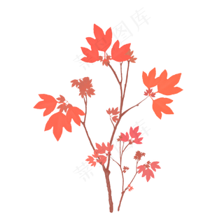 手绘秋天枫叶树木