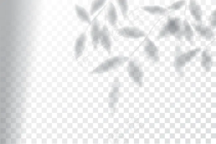 阴影，叠加效果模型样机，窗框和植物叶子eps,ai矢量模版下载