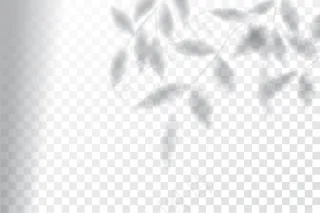 阴影，叠加效果模型样机，窗框和植物叶子