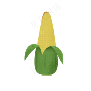 烹饪常用食材新鲜玉米装饰图案