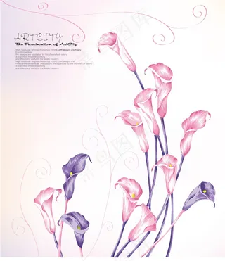 电视墙背景画效果图片