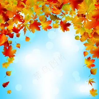 秋高气爽的设计。