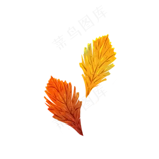 秋天秋叶落叶枫叶手绘素材