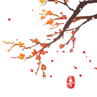 冬天植物梅花雪