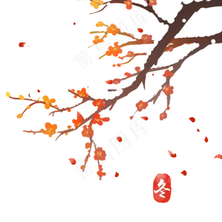 冬天植物梅花雪