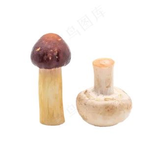 蘑菇蔬菜小吃 蘑菇蔬菜小吃