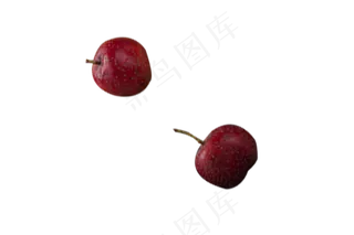 两颗新鲜的红色山楂