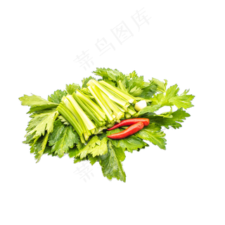 绿色蔬菜芹菜