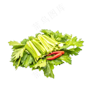 绿色蔬菜芹菜 绿色蔬菜芹菜