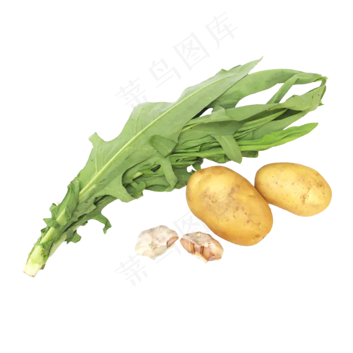 油麦菜土豆大蒜组合(2000X2000(DPI:300))