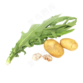 油麦菜土豆大蒜组合