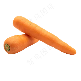 两根胡萝卜蔬菜