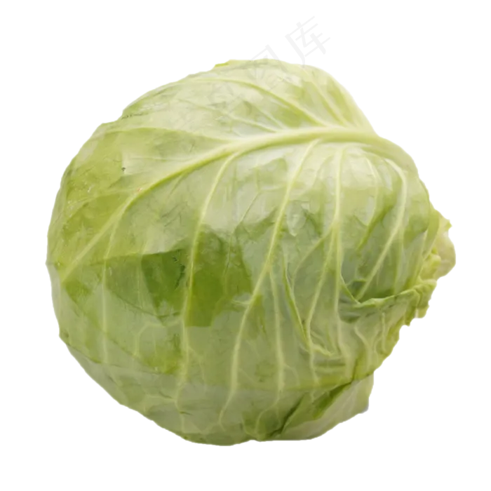 绿色蔬菜包菜(2000X2449(DPI:300))