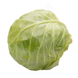 绿色蔬菜包菜