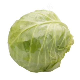 绿色蔬菜包菜