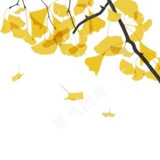 立秋节气银杏叶