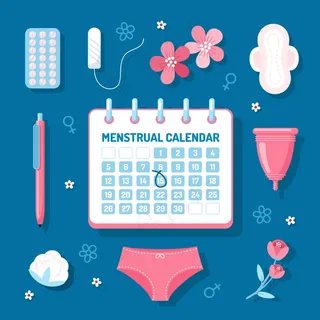 月经历概念 月经历概念