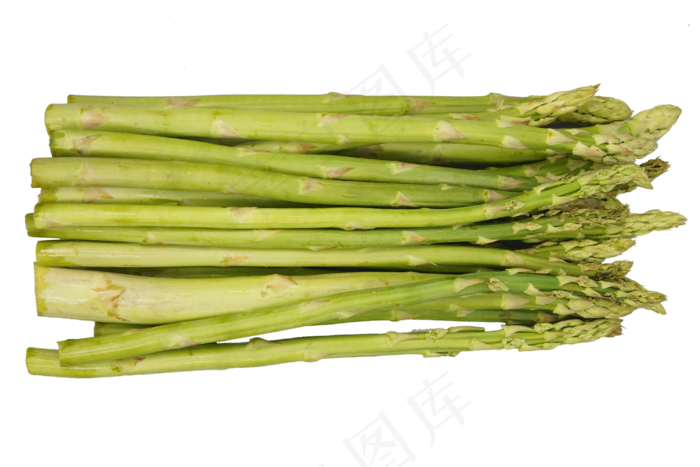 绿色素食芦笋