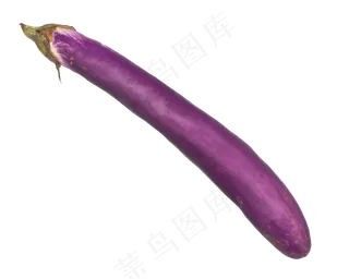 紫色蔬菜茄子