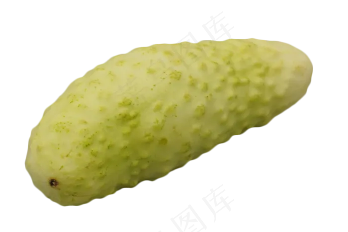绿色蔬菜苦瓜(3000*2000px 300 dpi )