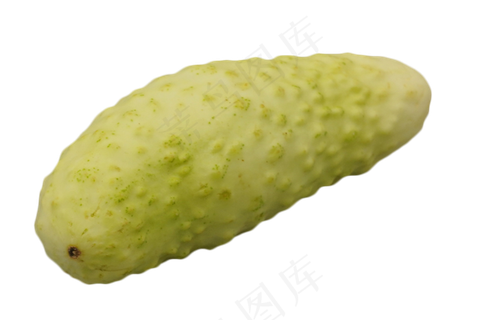 绿色蔬菜苦瓜