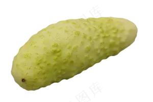绿色蔬菜苦瓜