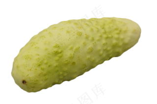绿色蔬菜苦瓜