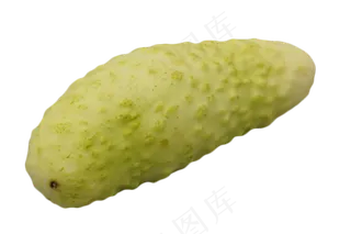 绿色蔬菜苦瓜