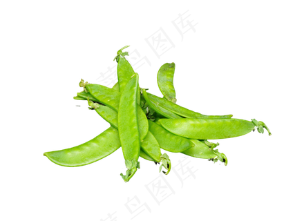 新鲜蔬菜生扁豆