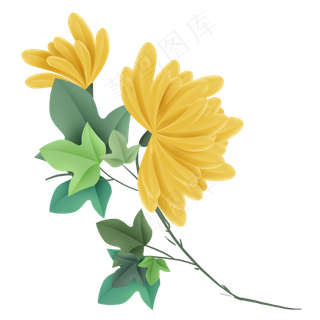 秋天立体金菊