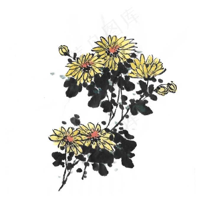 水墨风重阳节菊花(2000X2000(DPI:300))psd模版下载