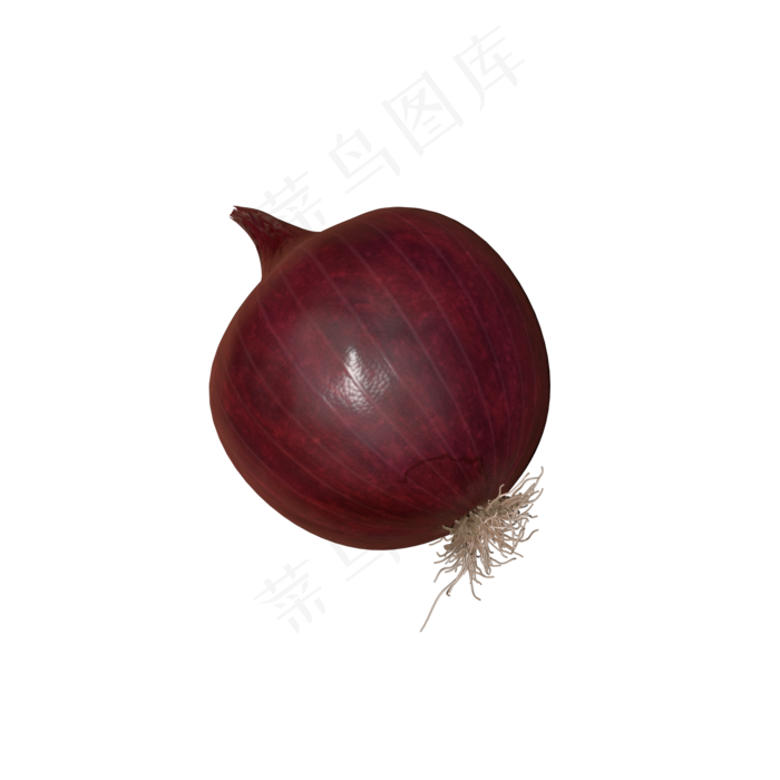 蔬菜洋葱(2000*2000px 300 dpi )