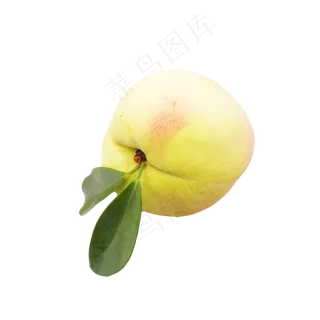 黄色水果桃子