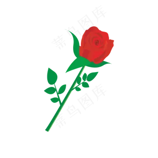 七夕情人节玫瑰花