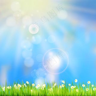 夏天的草在阳光和散焦的天空背景。