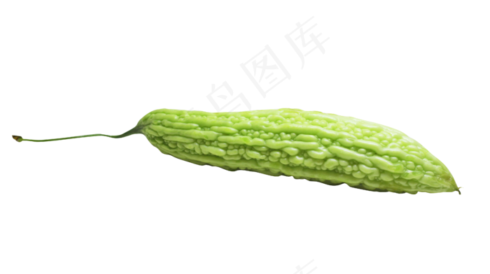 蔬菜苦瓜丝瓜(3000X3000(DPI:300))