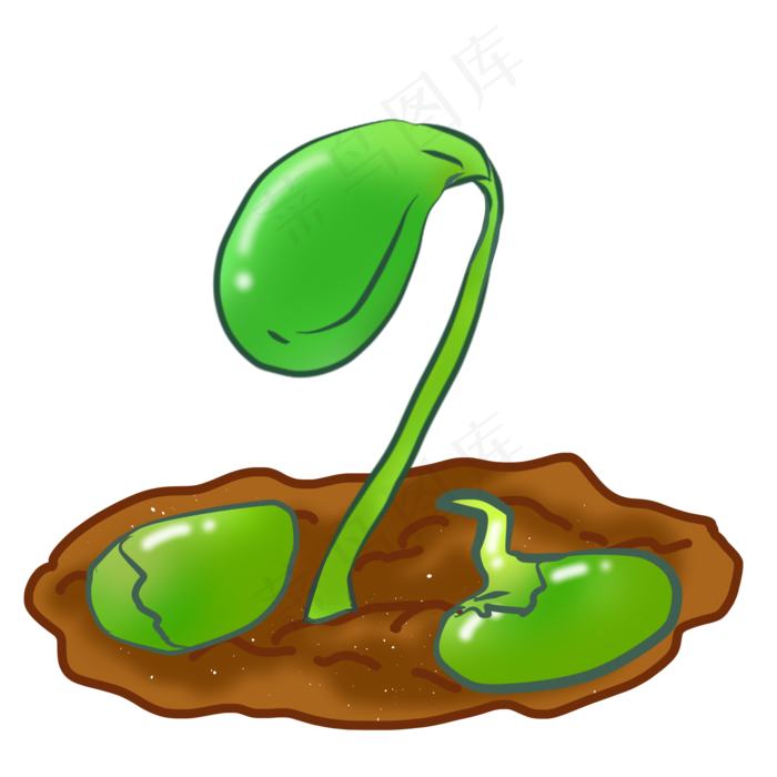 种子发芽小苗插画