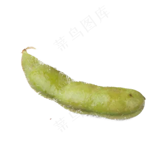 实拍一整个蔬菜豆角