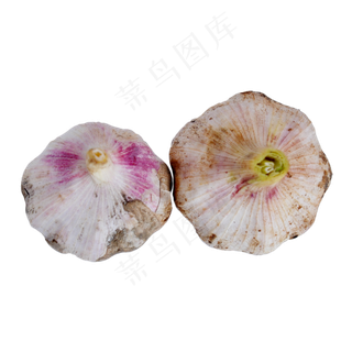 两头新鲜的大蒜