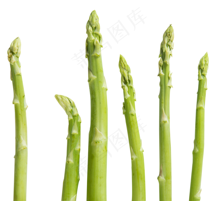 芦笋蔬菜